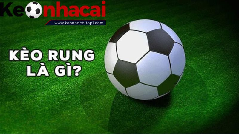 Các dạng kèo rung phổ biến Các dạng kèo rung phổ biến