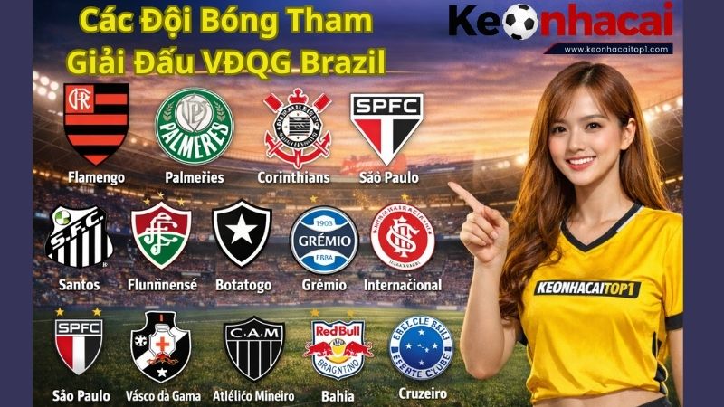 Thông Tin Mới Nhất Về Các Đội Bóng Tham Gia Giải Đấu VĐQG Brazil