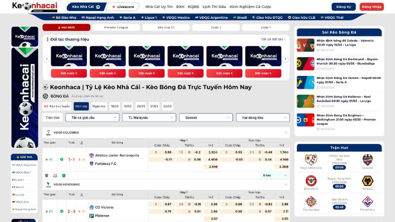 Giới thiệu tổng quan về Keonhacaitop1