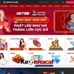 Giới Thiệu Tổng Quan Về Nhà Cái NET88