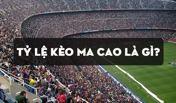 Kinh nghiệm cơ bản chơi kèo Macau