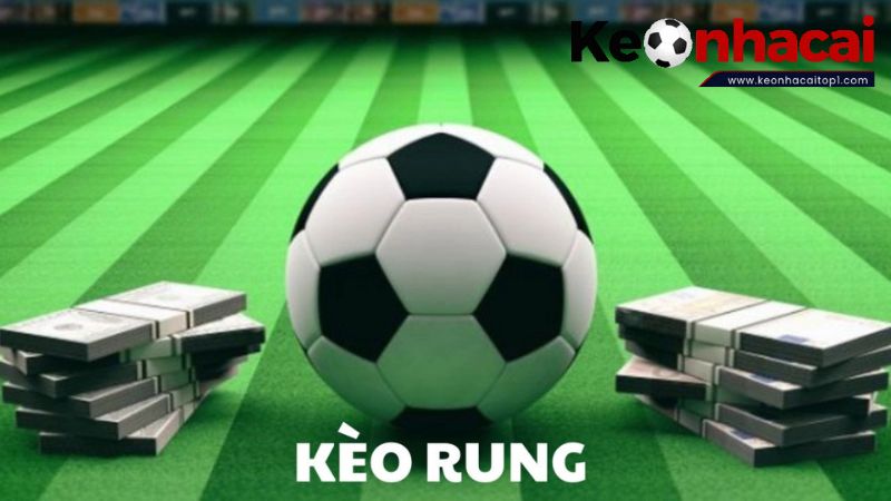 Kinh nghiệm chơi kèo rung hiệu quả Kinh nghiệm chơi kèo rung hiệu quả