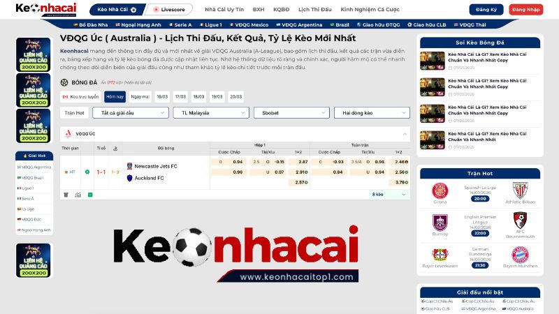 Tổng Quan Về Giải Đấu VĐQG Australia Tổng Quan Về Giải Đấu VĐQG Australia