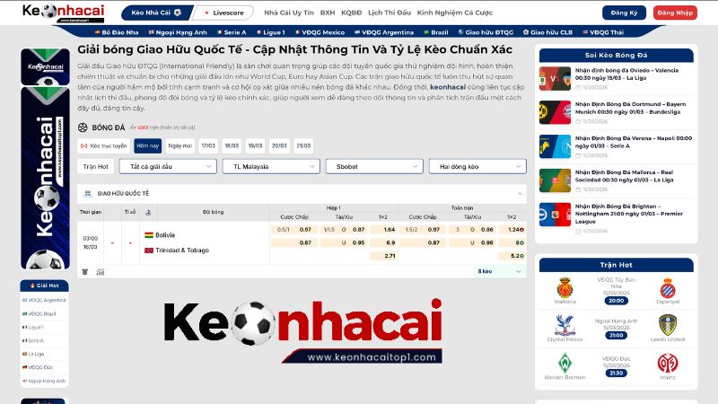 Giới thiệu về giải đấu giao hữu ĐTQG