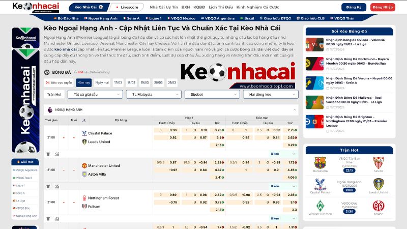 Tổng quan về giải đấu Ngoại Hạng Anh